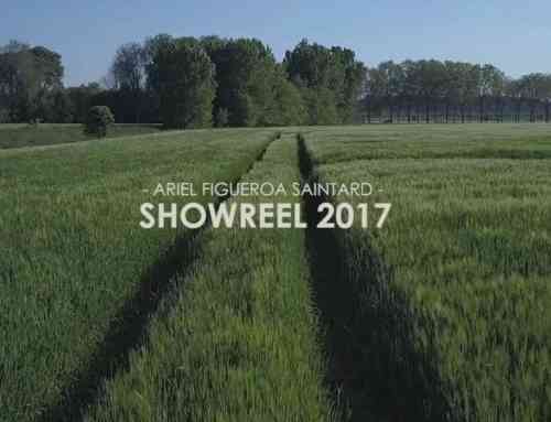 Showreel Arielfigueroa 2017